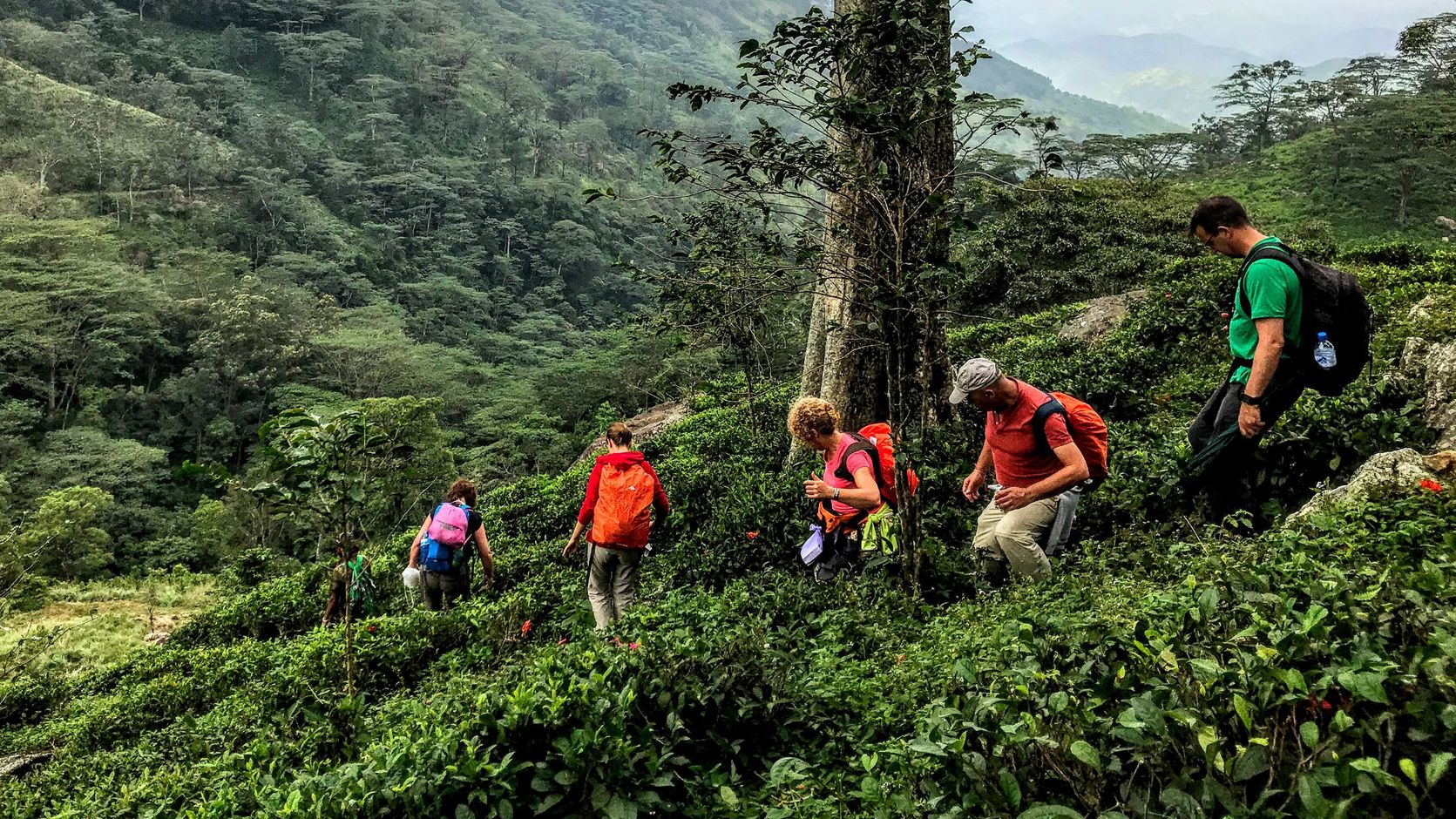 Groepsreis Sri Lanka