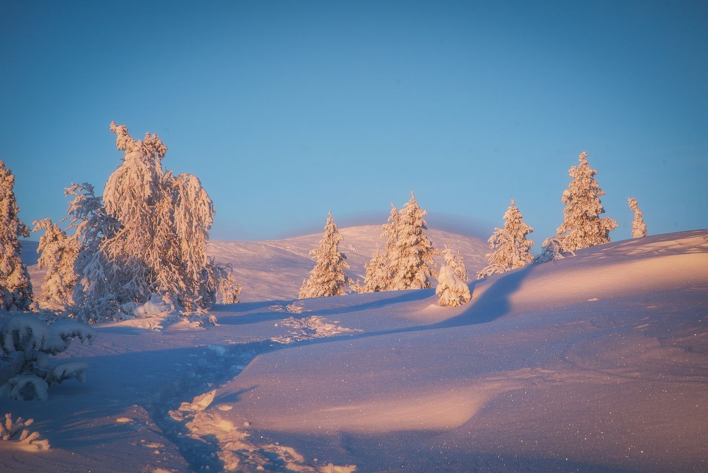 Activiteiten Fins Lapland