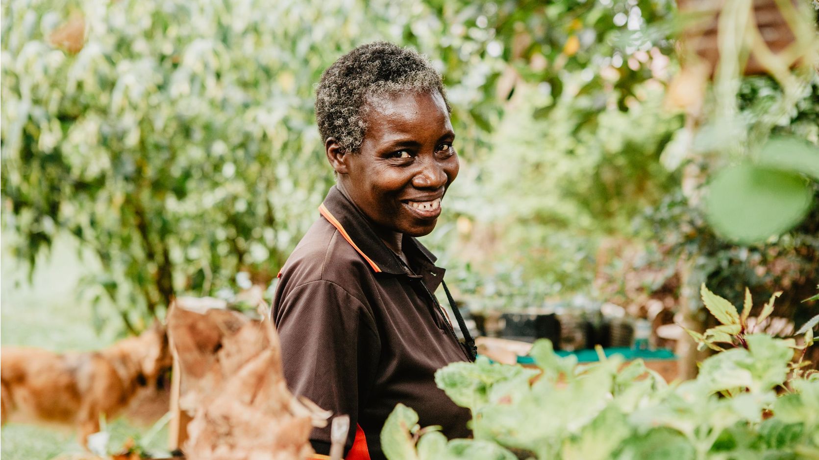 viavia plantenkwekerij