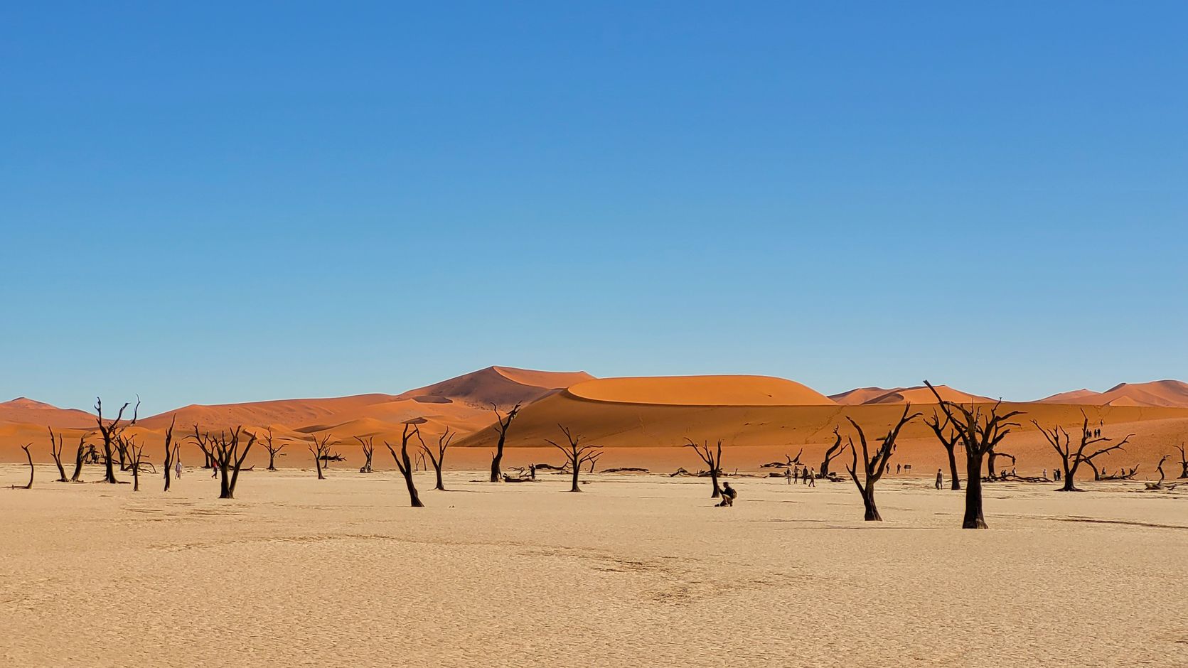 Deadvlei Sossusvlei Namibia
