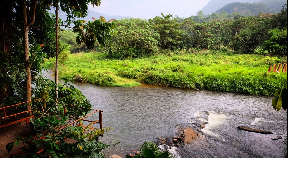Kelani rivier raften canyoning kitulgala jungle sri lanka