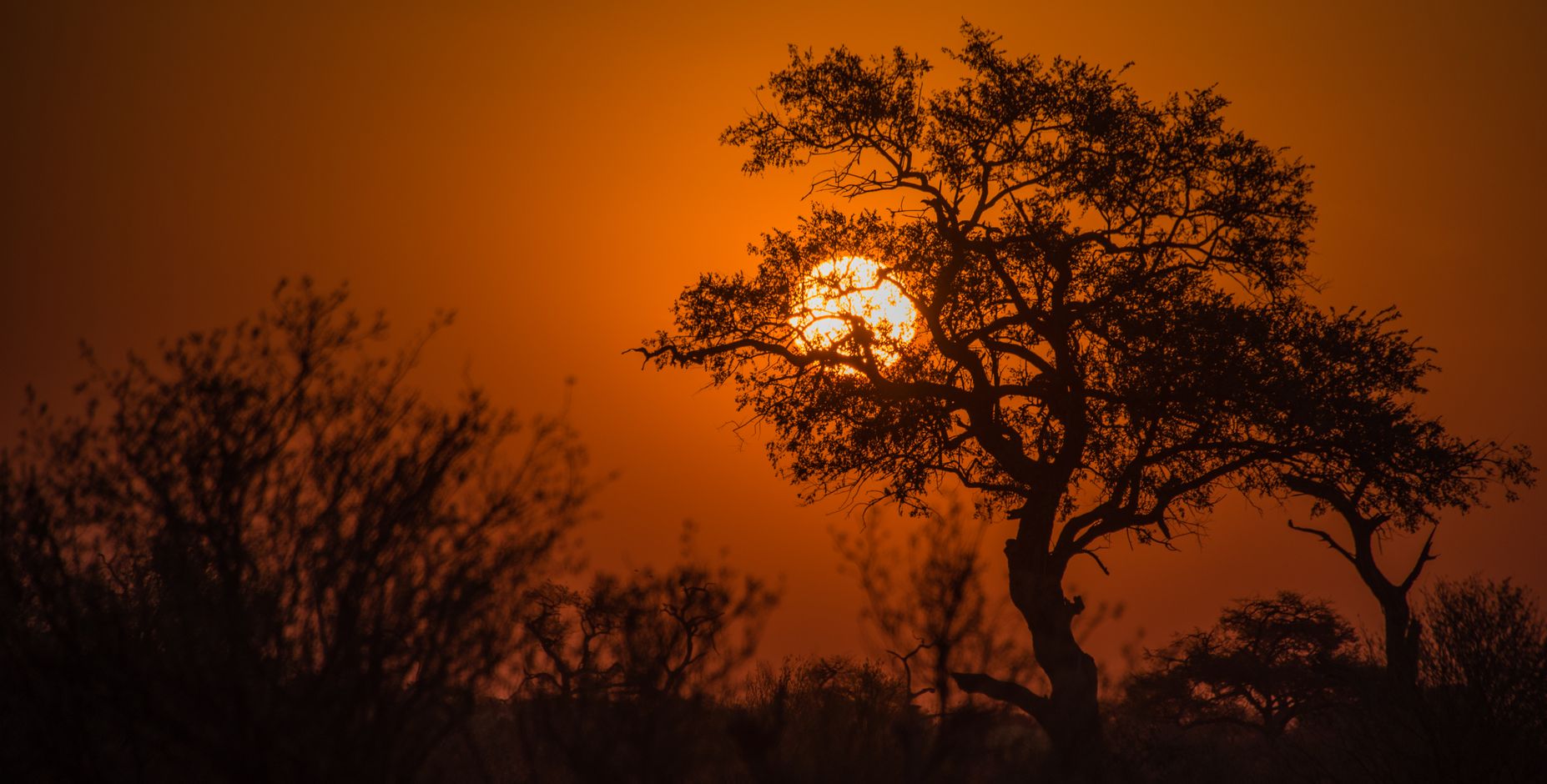 Botswana Moremi Game Reserve Afrika 