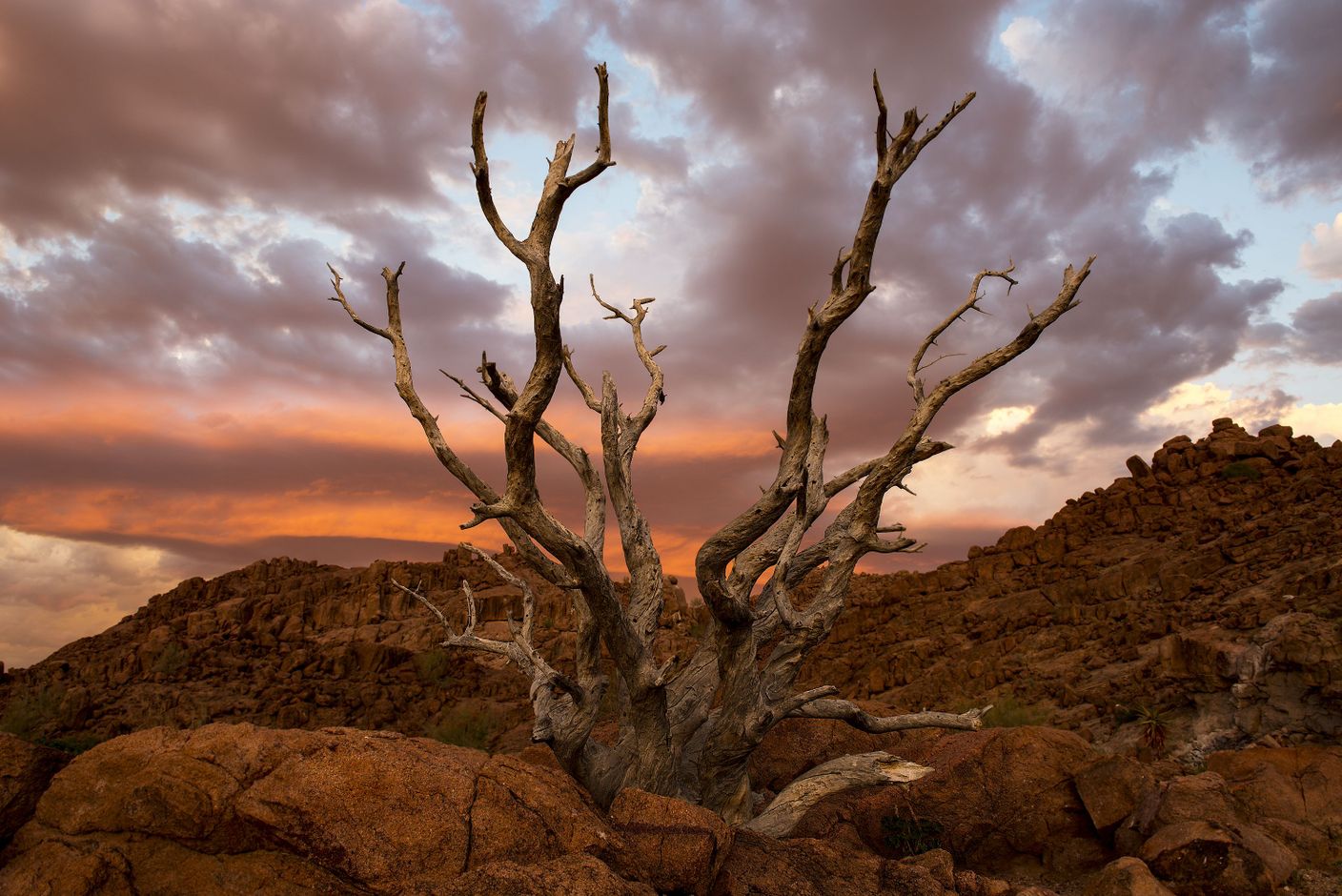 Activiteiten in de Kalahariwoestijn