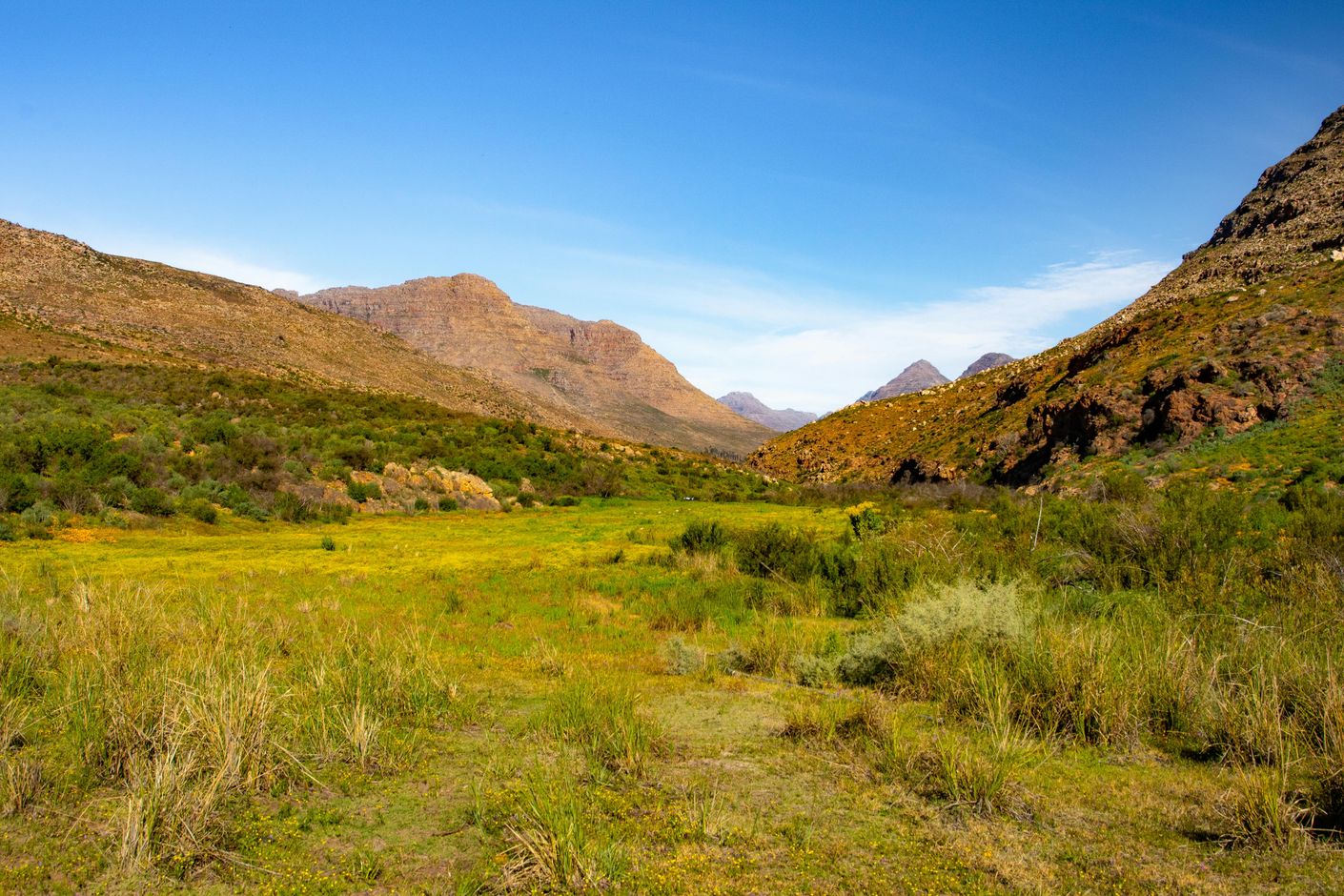 Cederberg Zuid Afrika