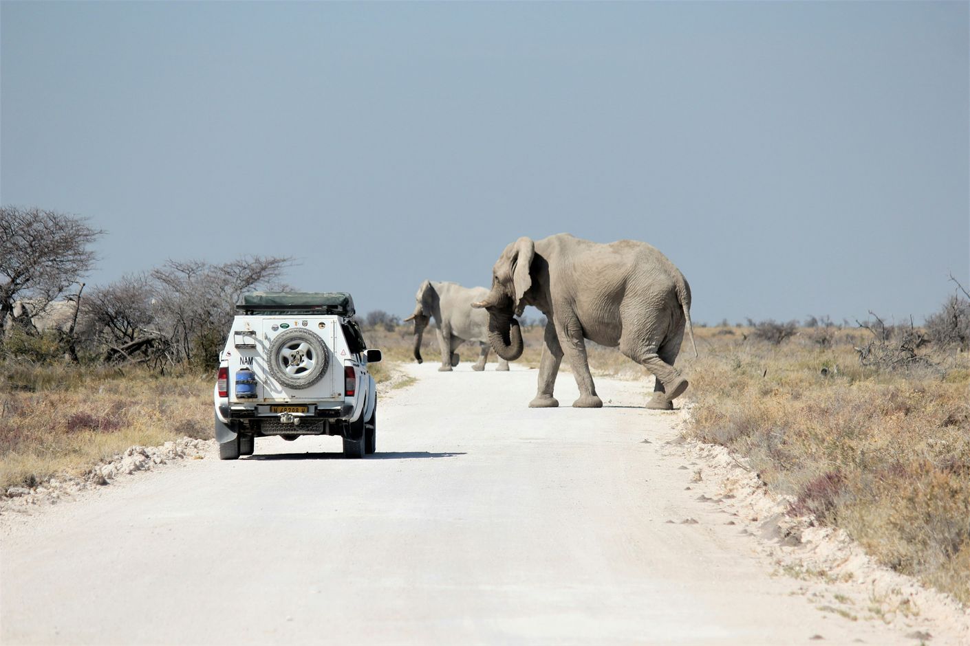 Namibie safari jeep met daktent