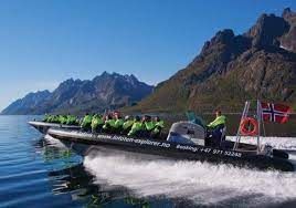 Lofoten Trollfjord RIB-safari