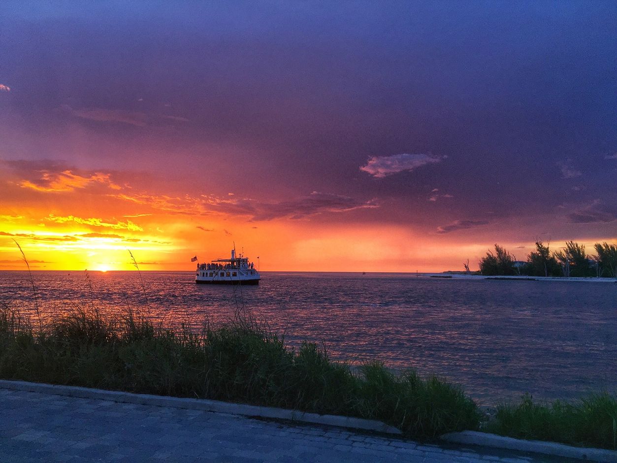 Dolfijnen spotten Fort Myers