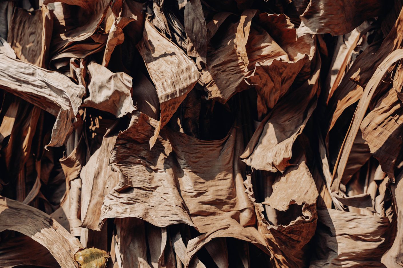 Village walk Manyara