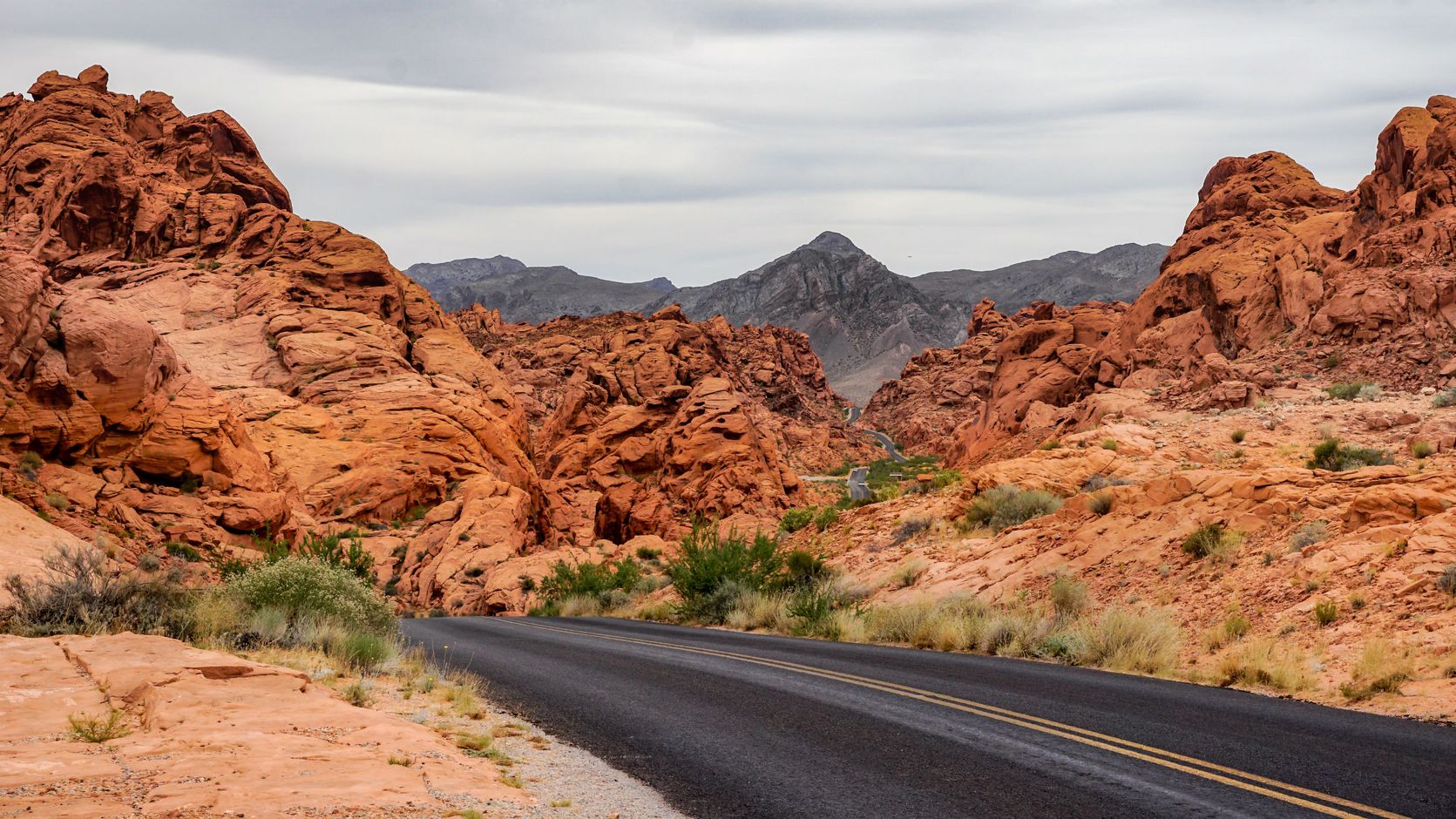 traveling international group