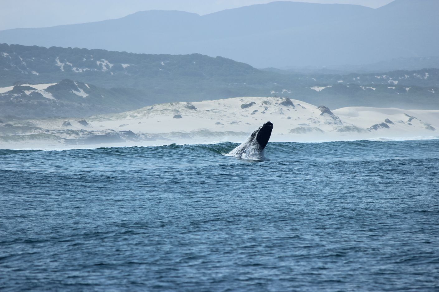 Walvisbaai in Namibië