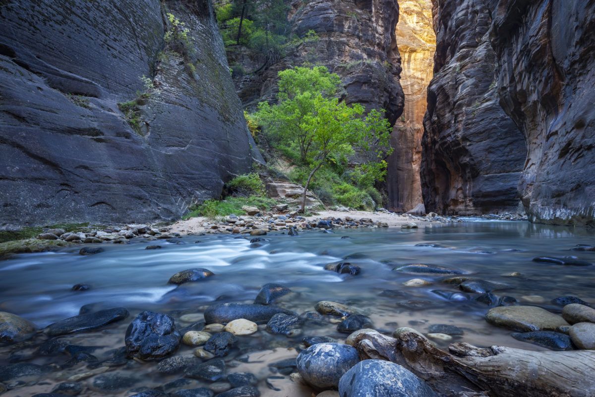 Wandel door de Narrows in Zion