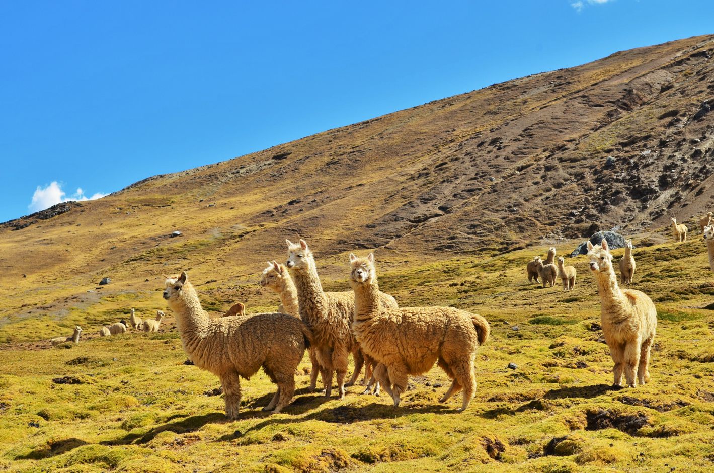 Peru