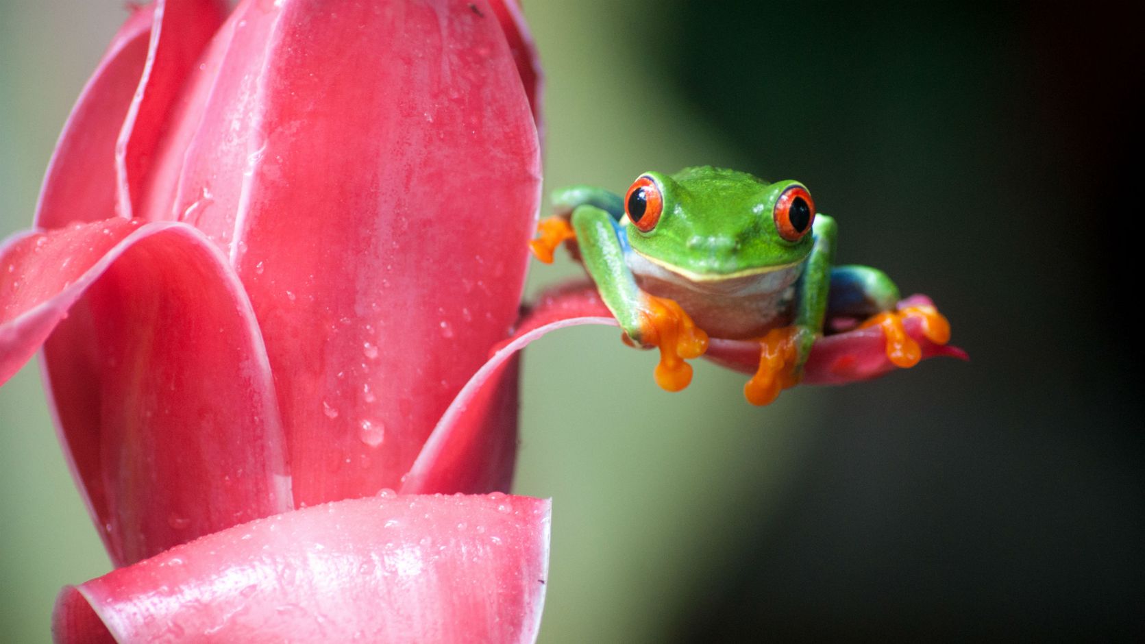 Costa Rica