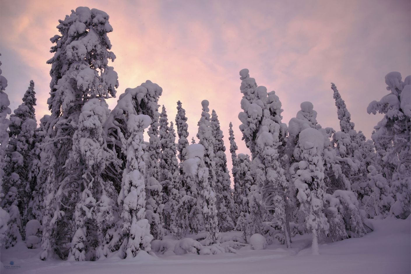 Groepsreis winter finland
