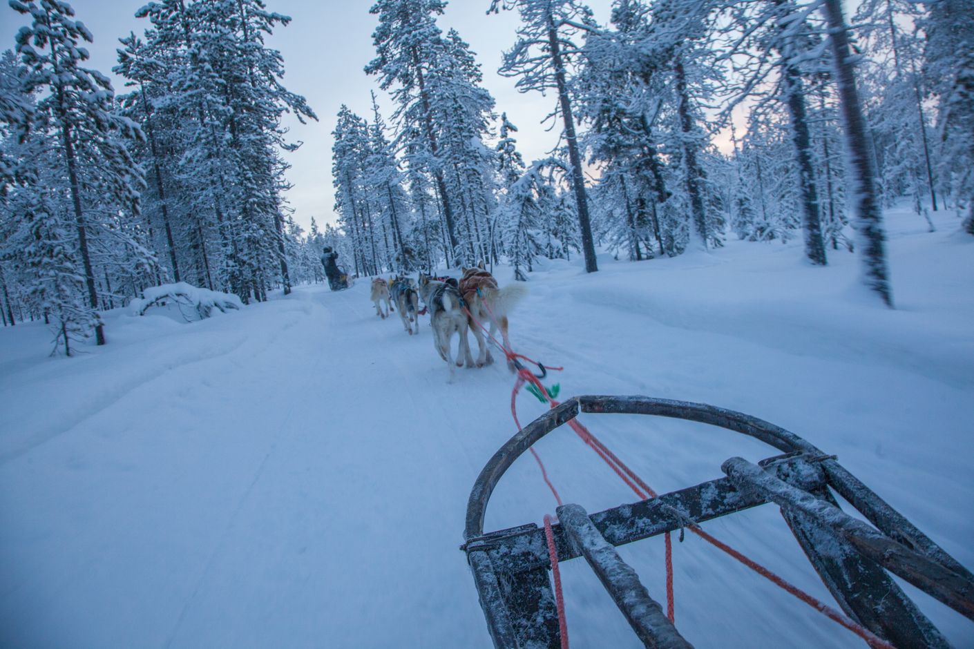 Groepsreis Finland