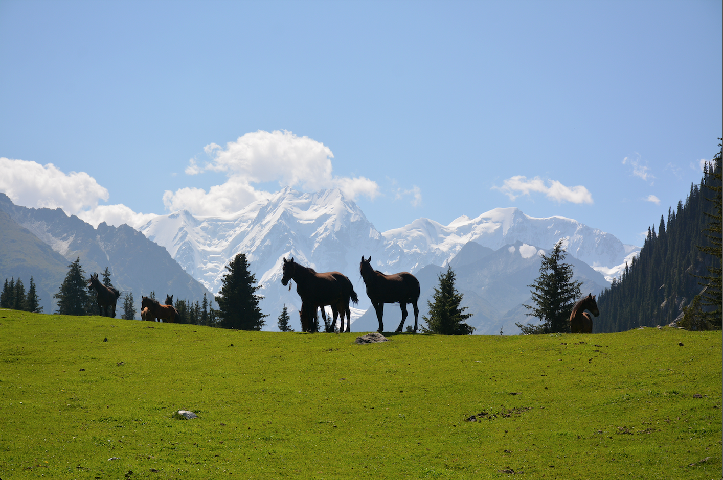 Groepsreis Kirgizië