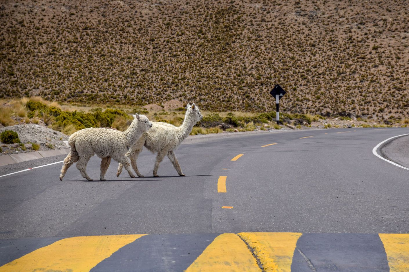 Groepsreis Peru
