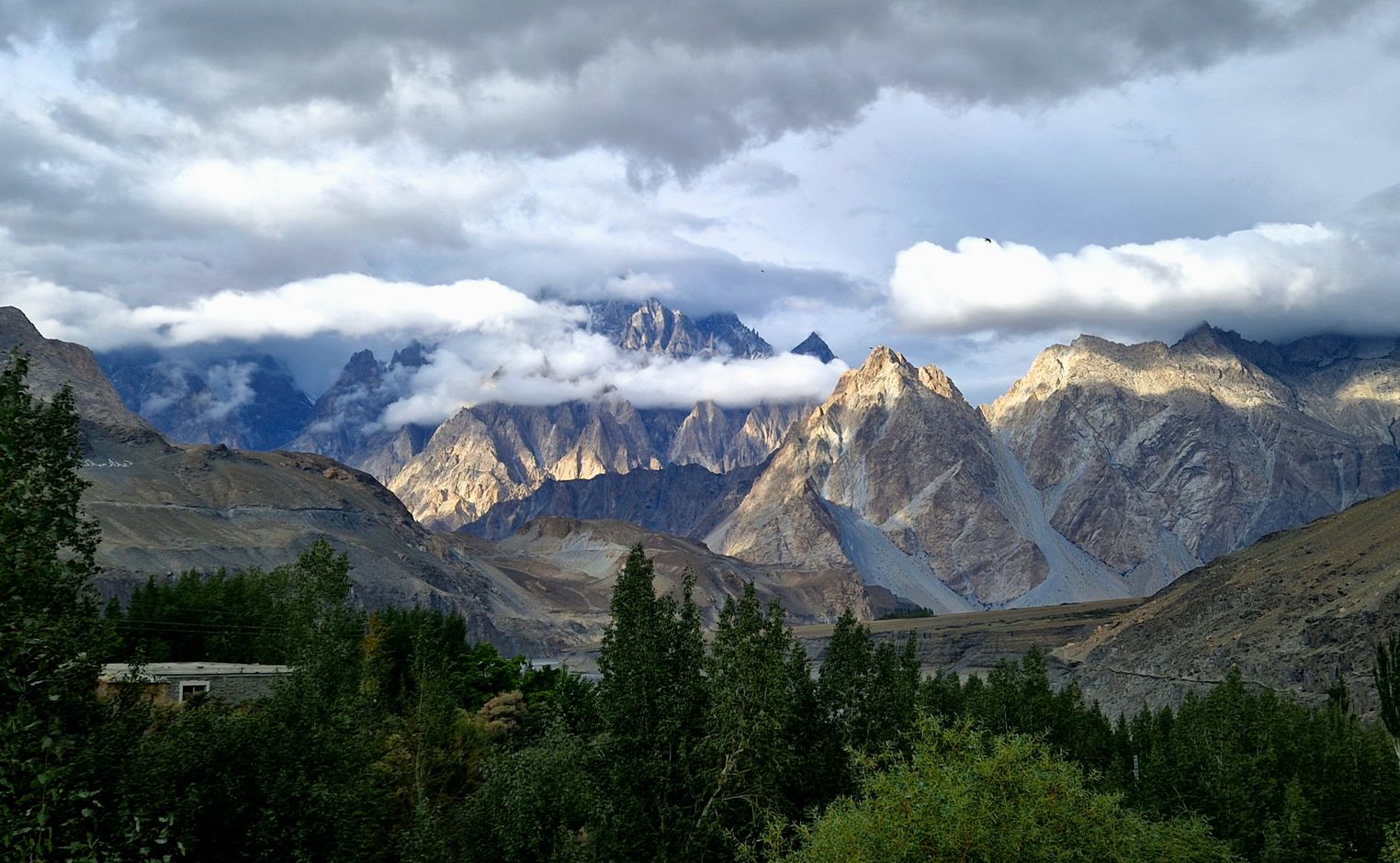 Passu