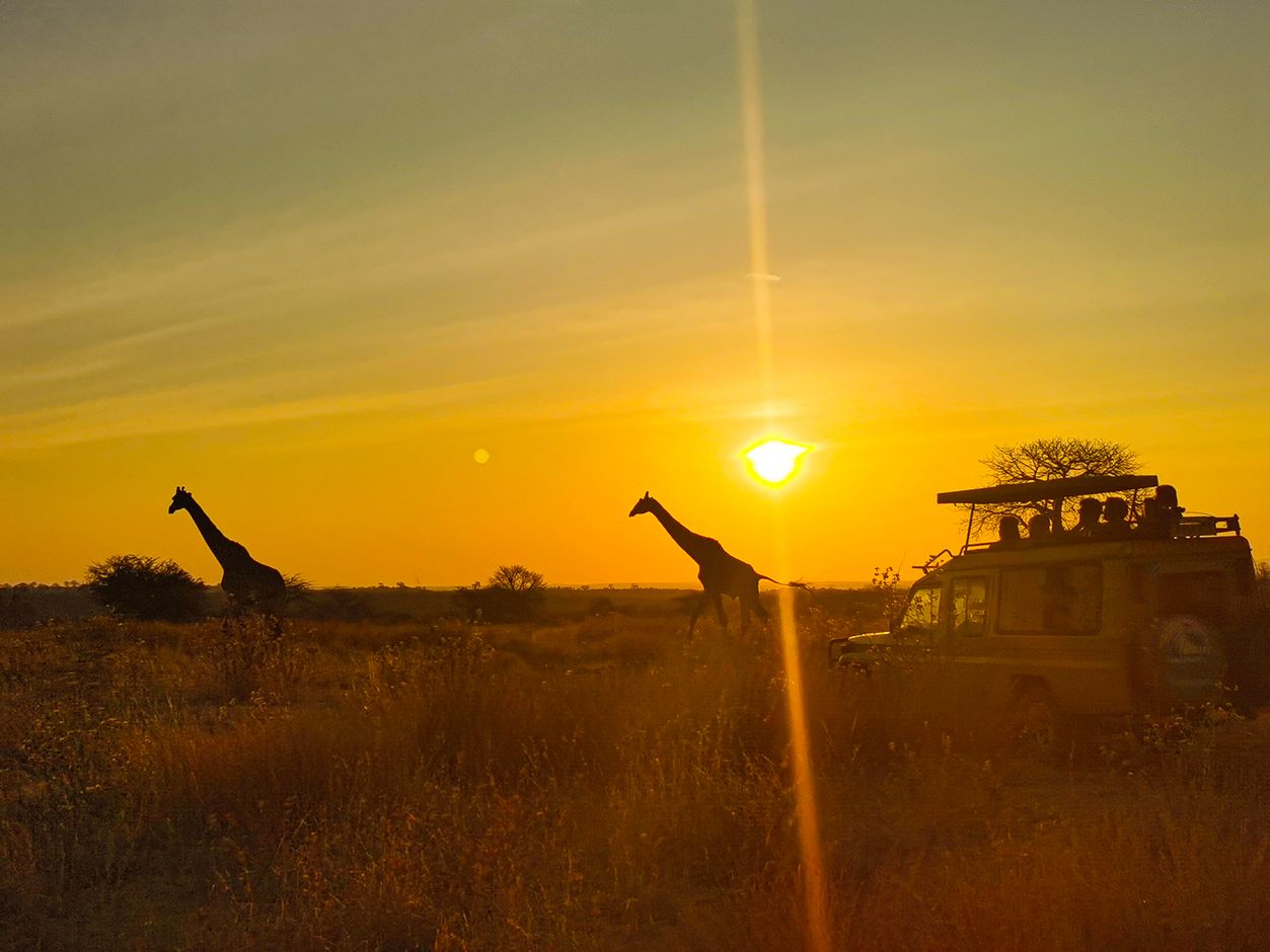 Groepsreis Tanzania giraffen spotten op jeepsafari