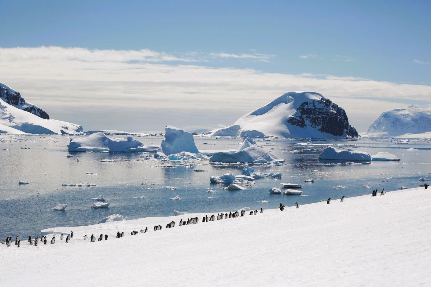 Groepsreis Antarctica