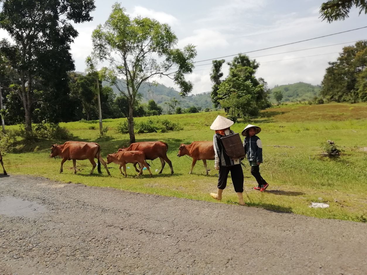 Groepsreis Vietnam