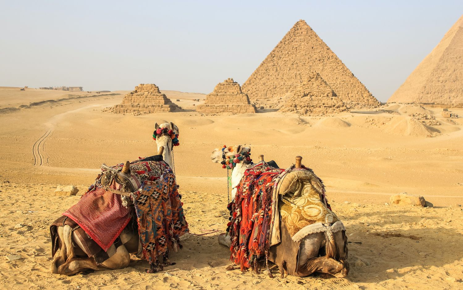 Groepsreis Egypte piramides van Giza bij Caïro
