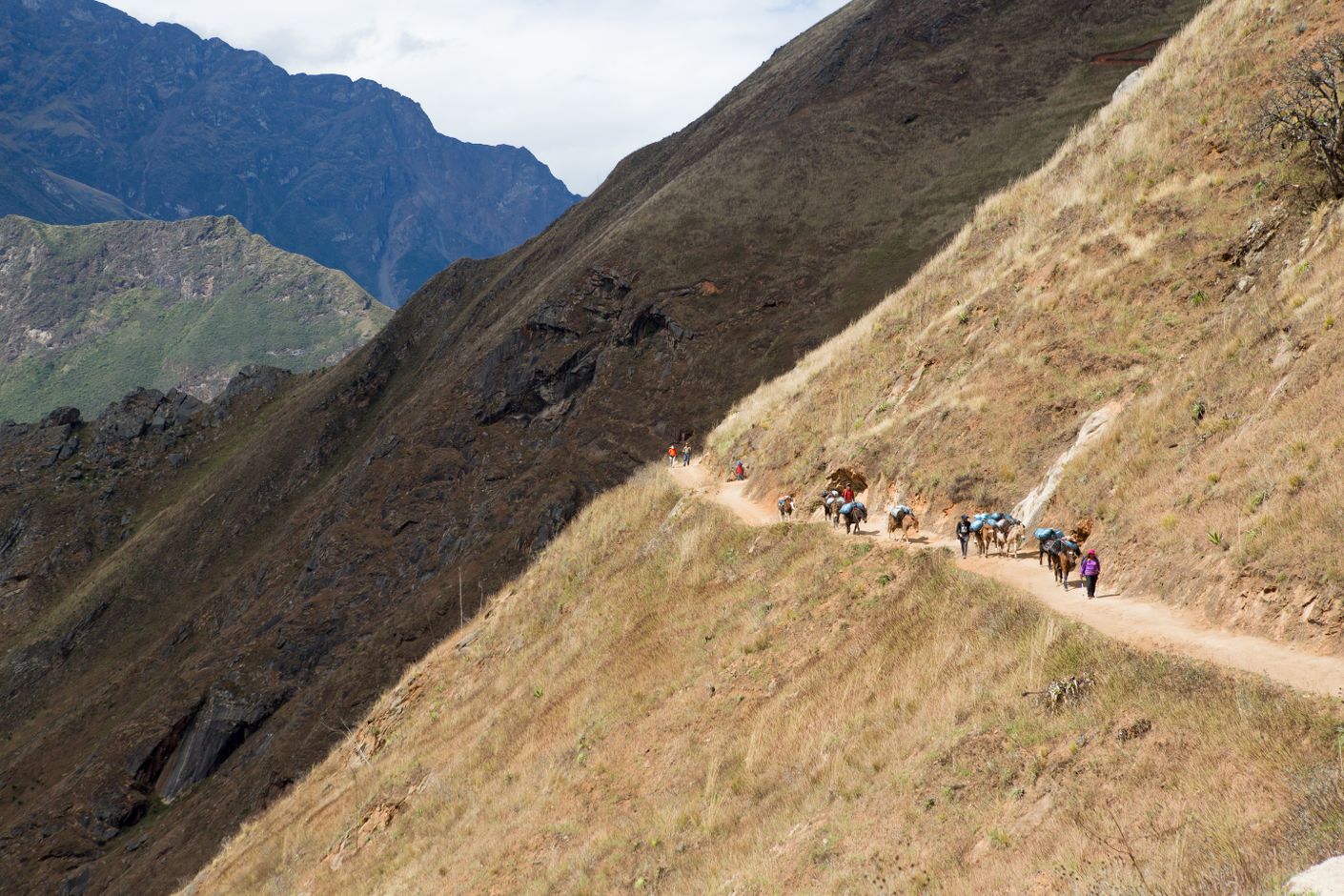 Choquequirao trekking