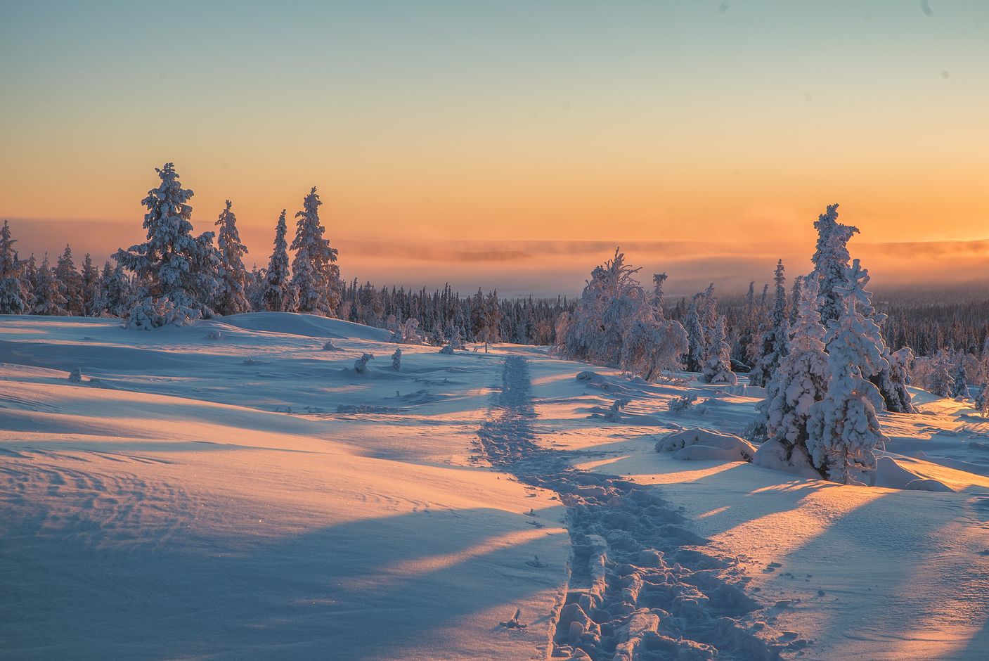 Groepsreis Finland