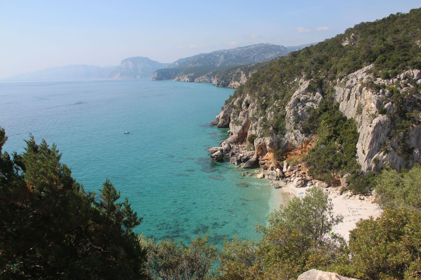 Dominique Verschueren