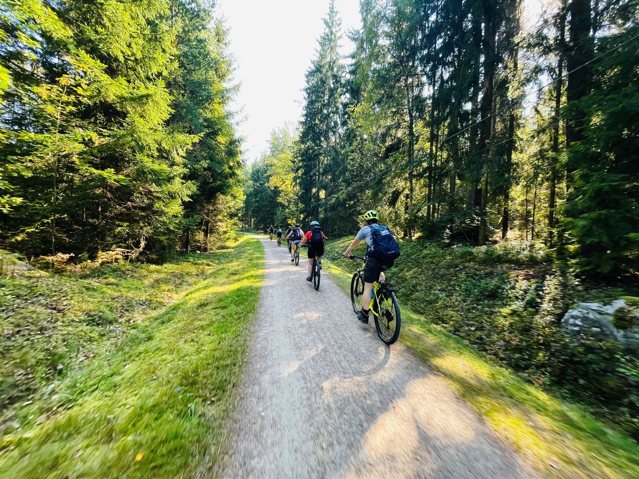 Groepsreis Zweden, Denemarken