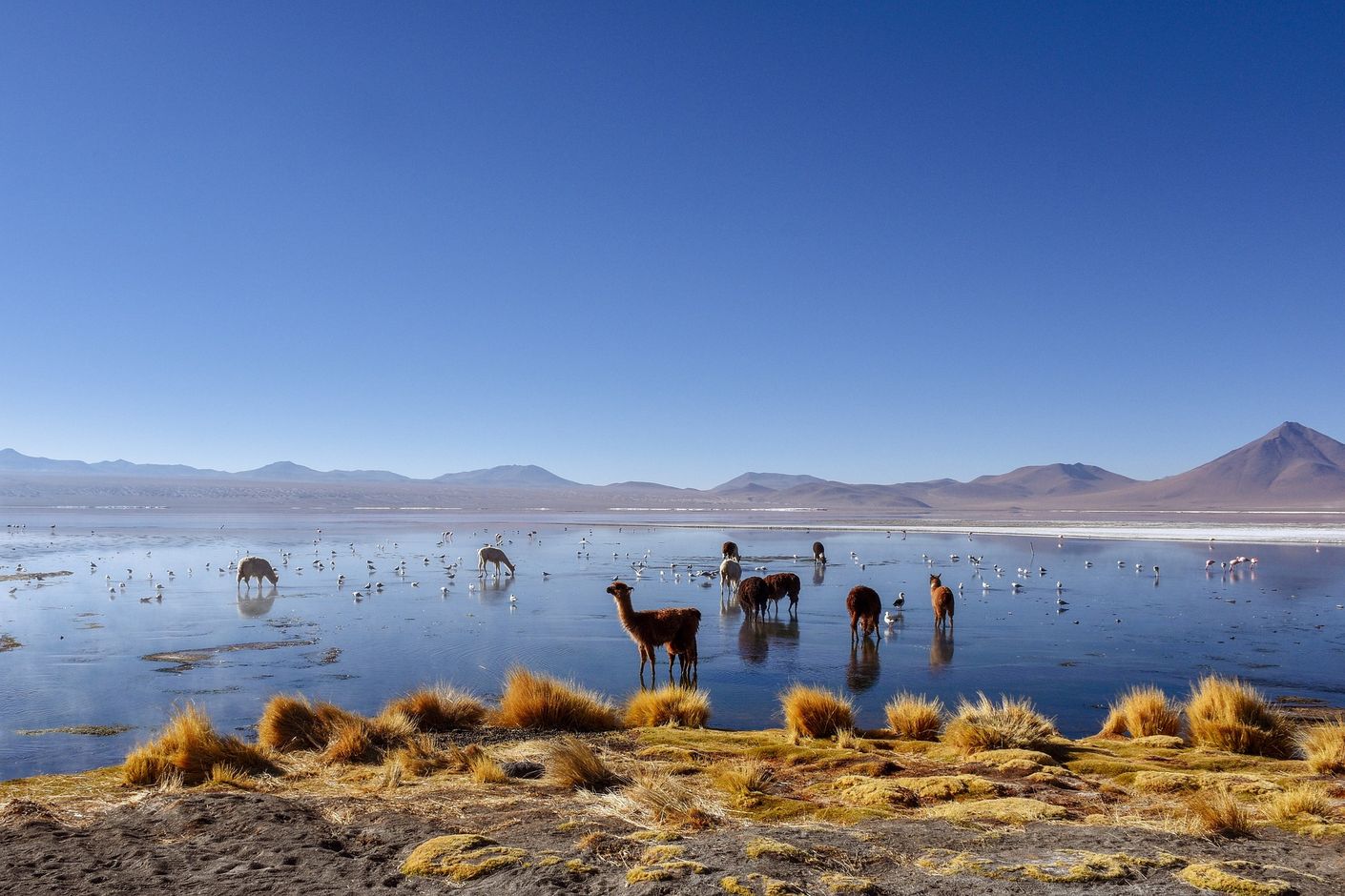 Groepsreis Bolivia