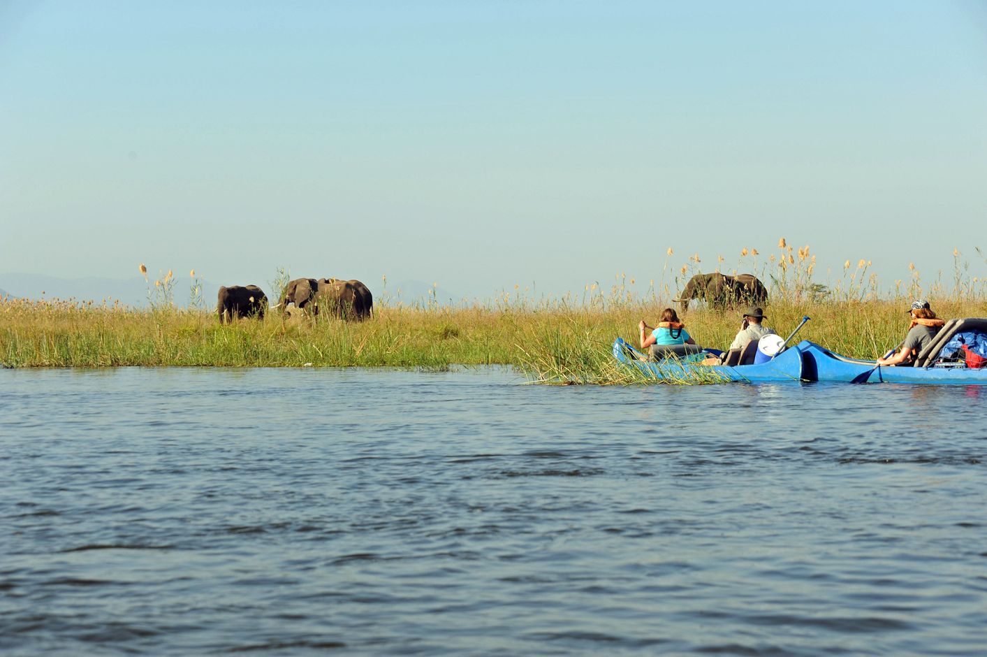 Groepsreis Zambia kanotocht op de Zambezi olifanten