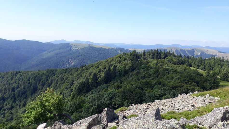 Vogezen