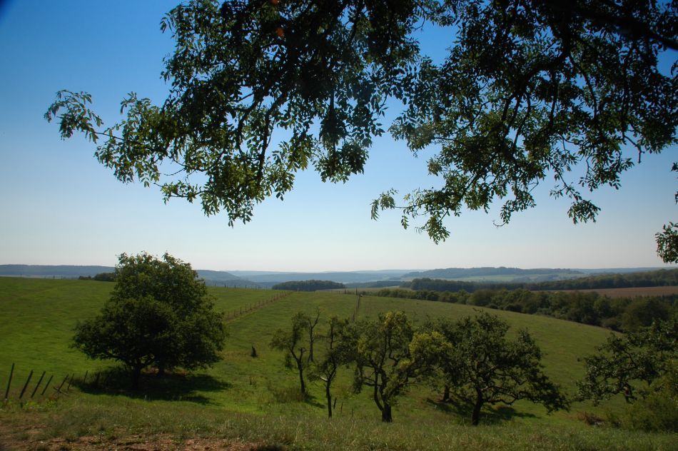 Luxemburgse Ardennen