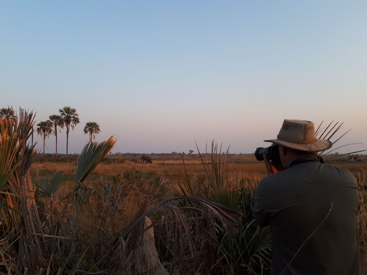 Groepsreis Botswana