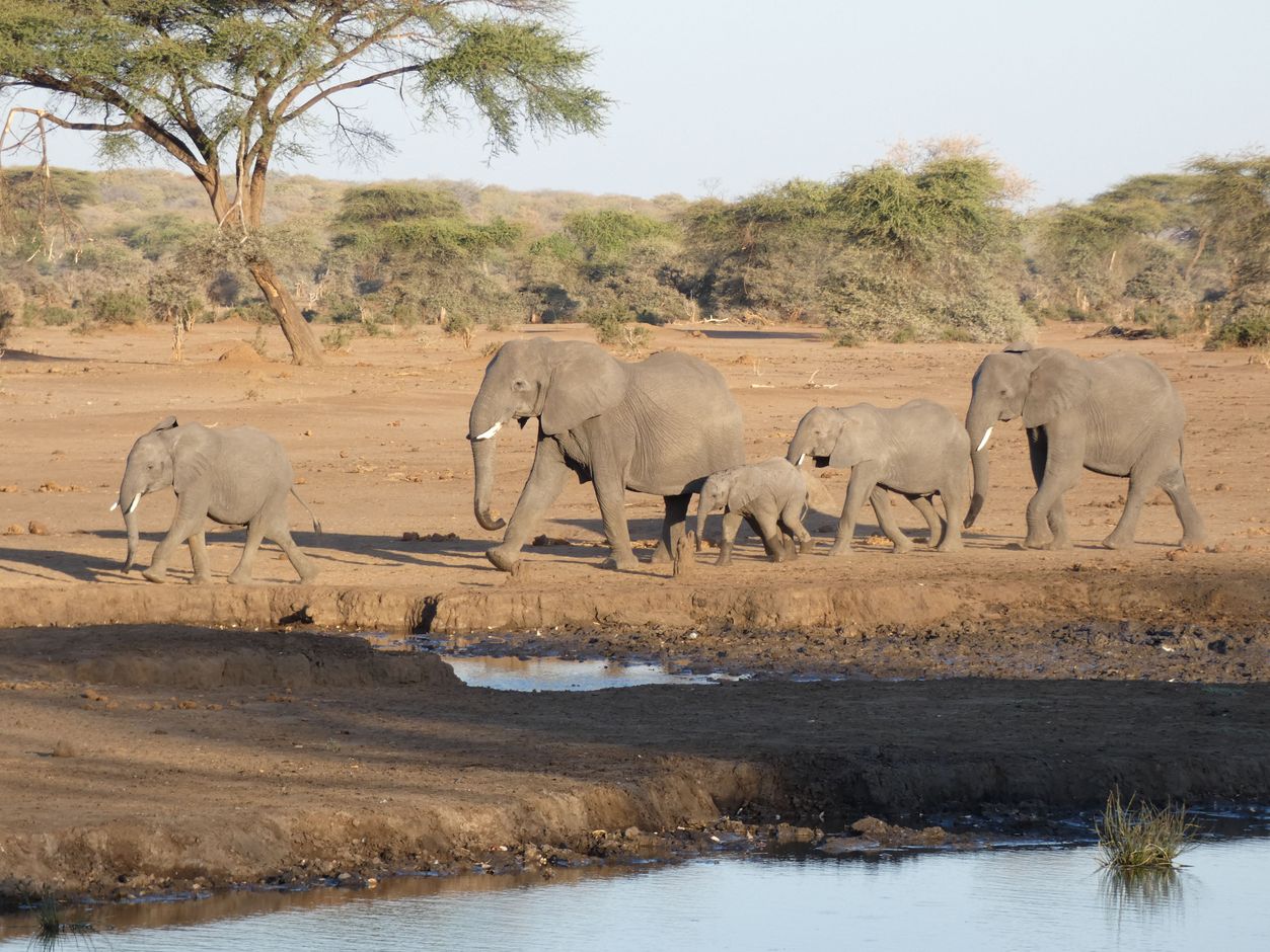 Botswana