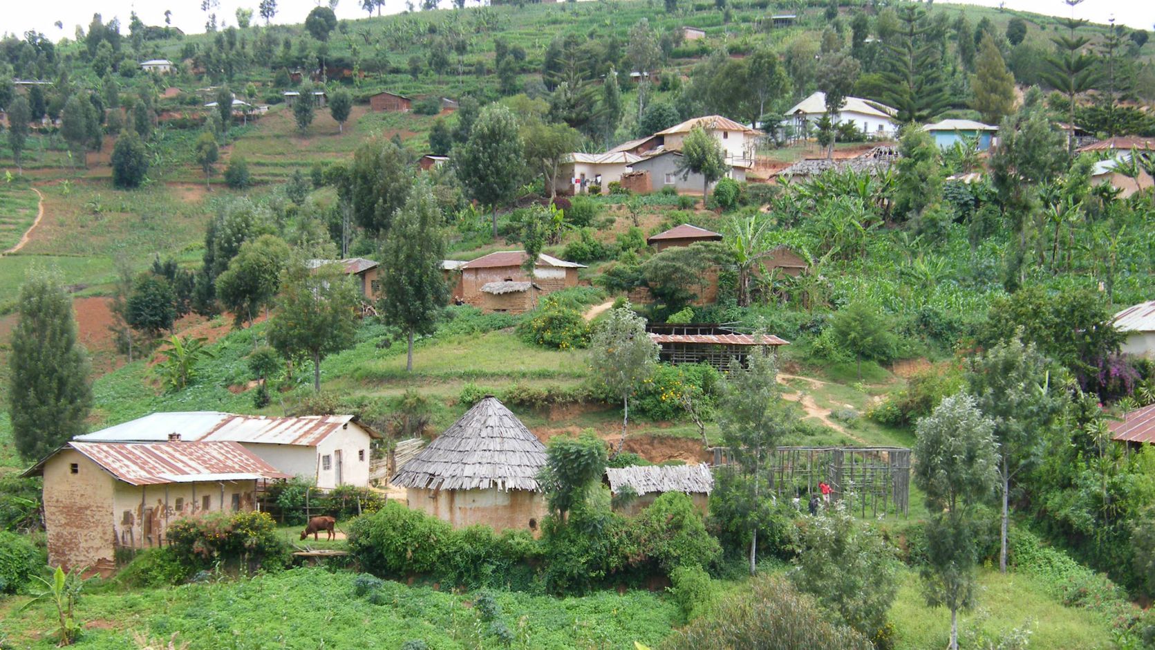 Tanzania Cultural Tourism Program Usambara Mountains