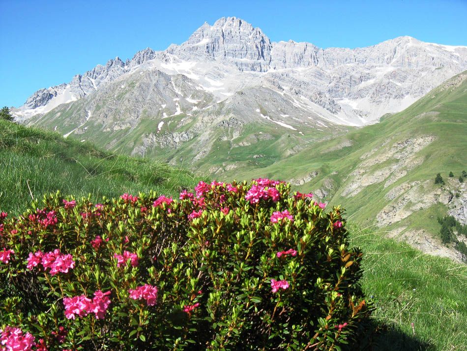 Le tour du Queyras