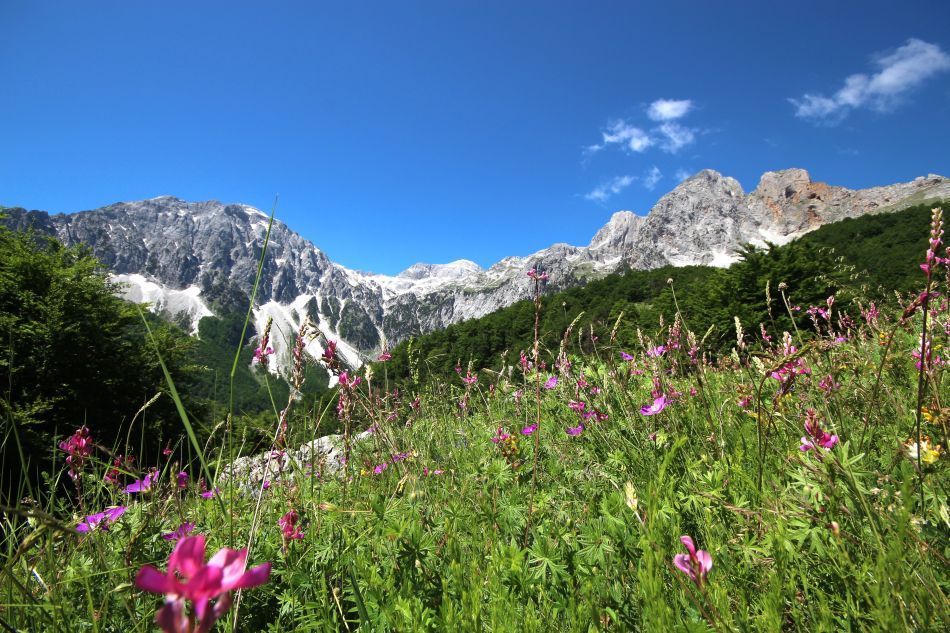Albanië - De Albanese Alpen