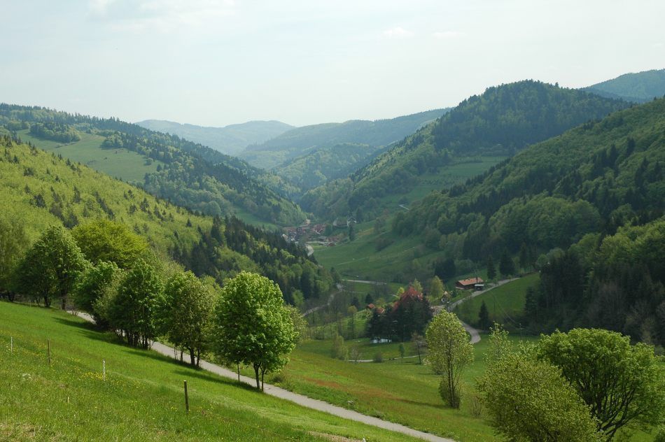 schluchtensteig
