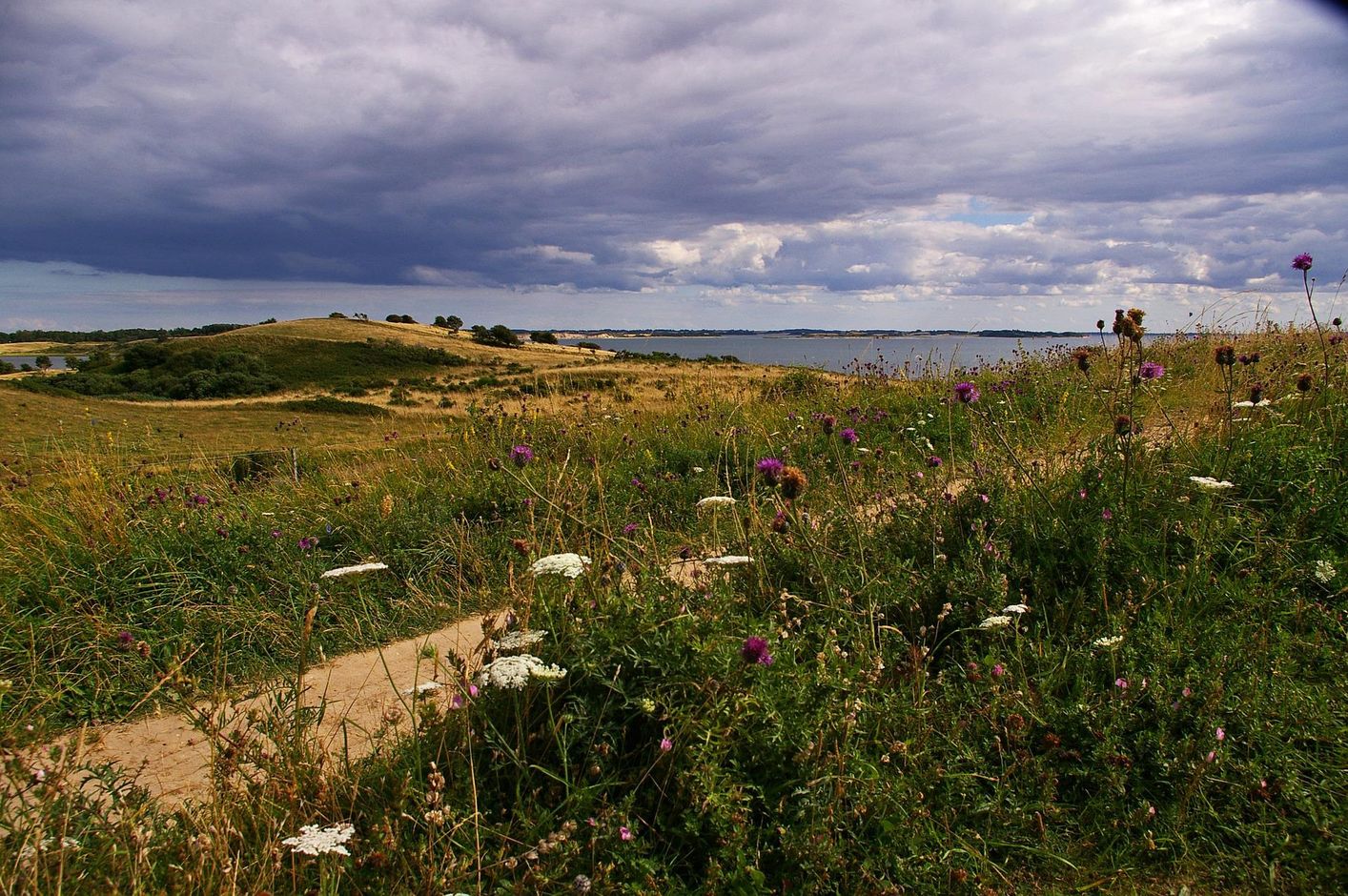 Fietsvakantie op het eiland Funen-Denemarken