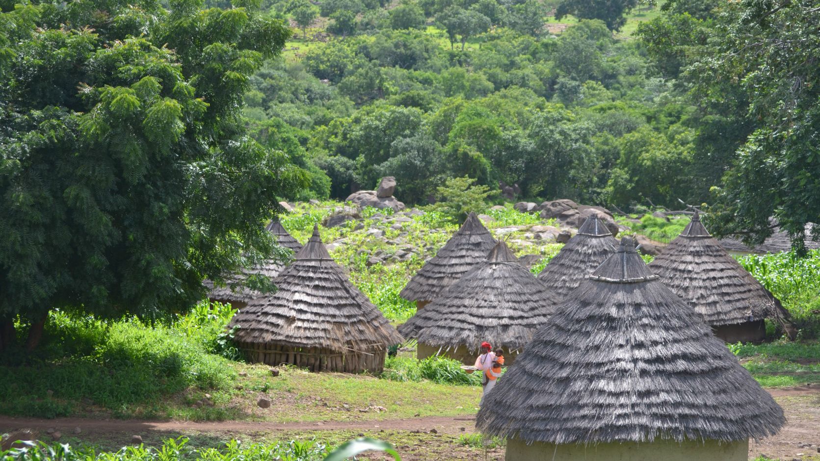 Senegal rondreis Afrika avontuur
