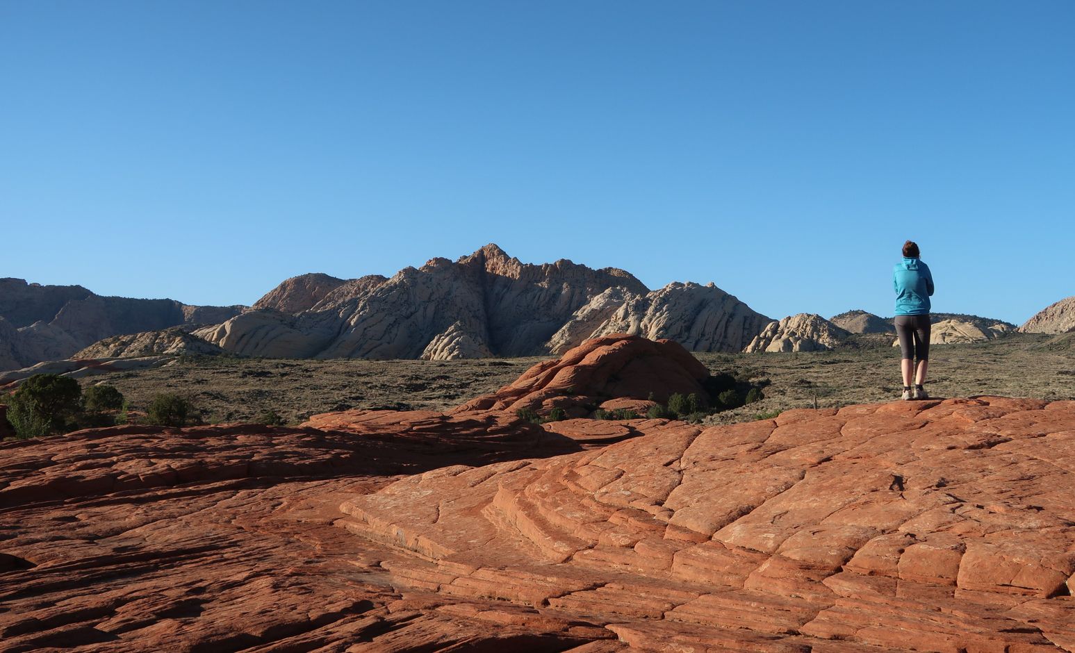 Snow Canyon State Park