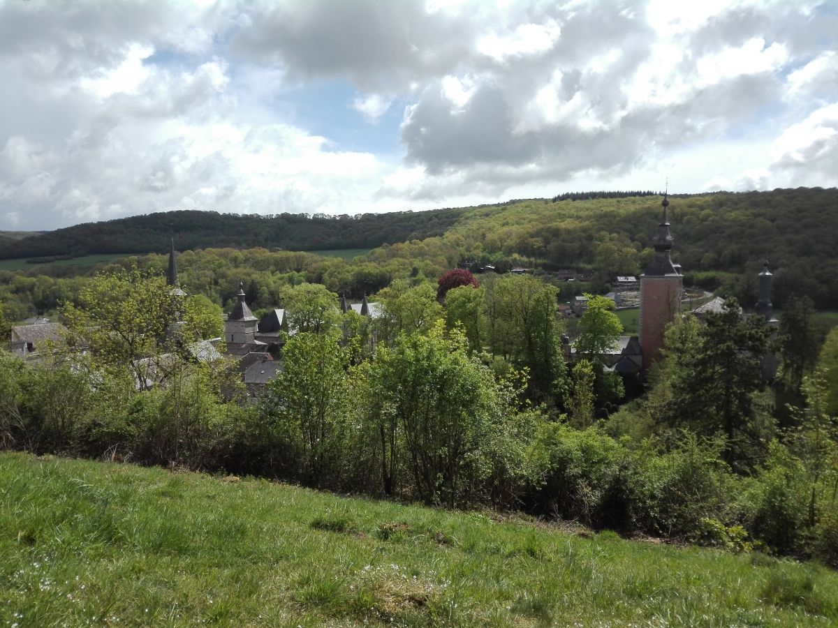 view