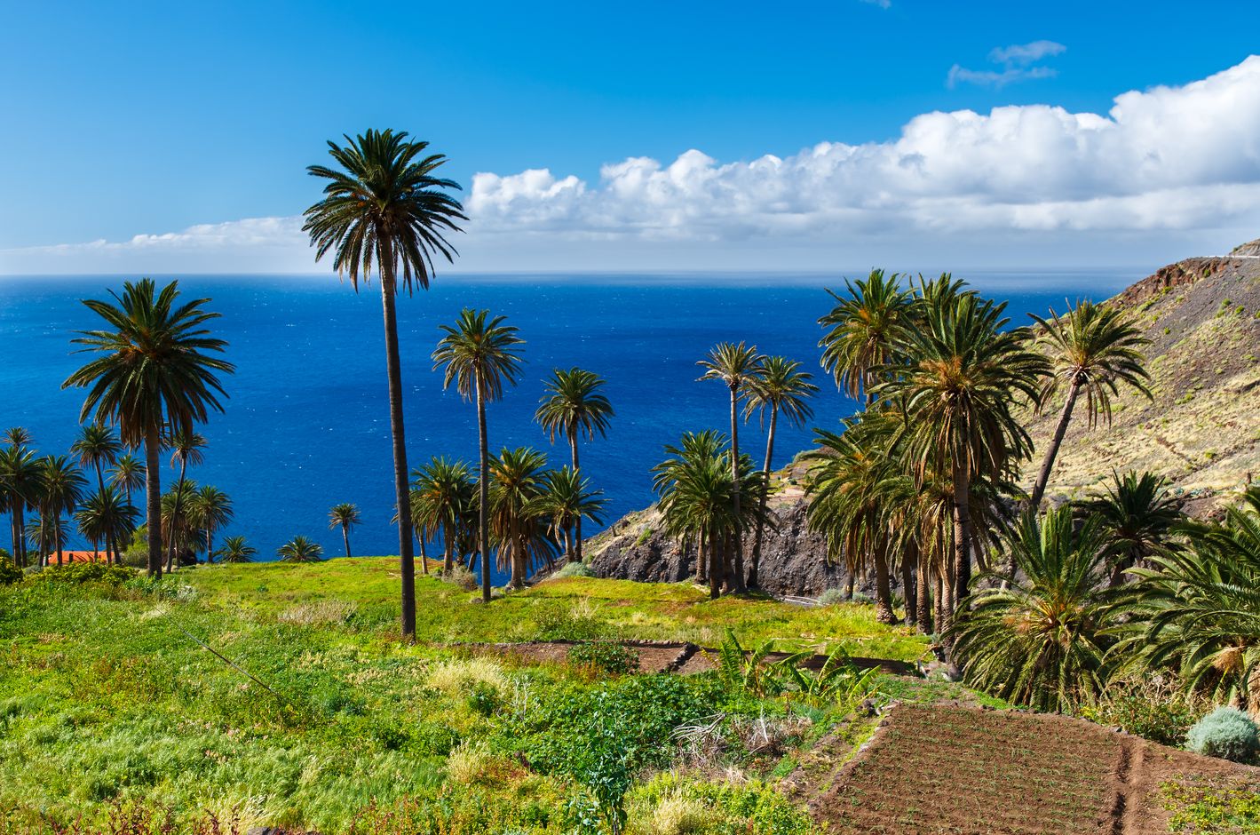 La Gomera - Imagine