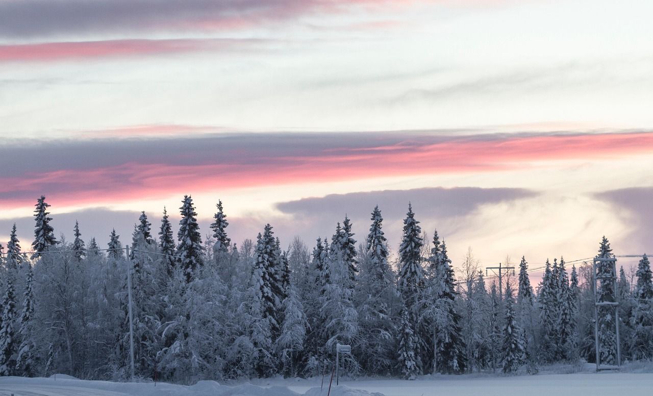 Winters Landschap - Pixabay