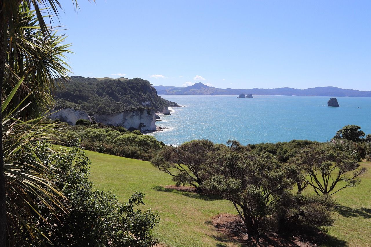 Coromandel - Pixabay