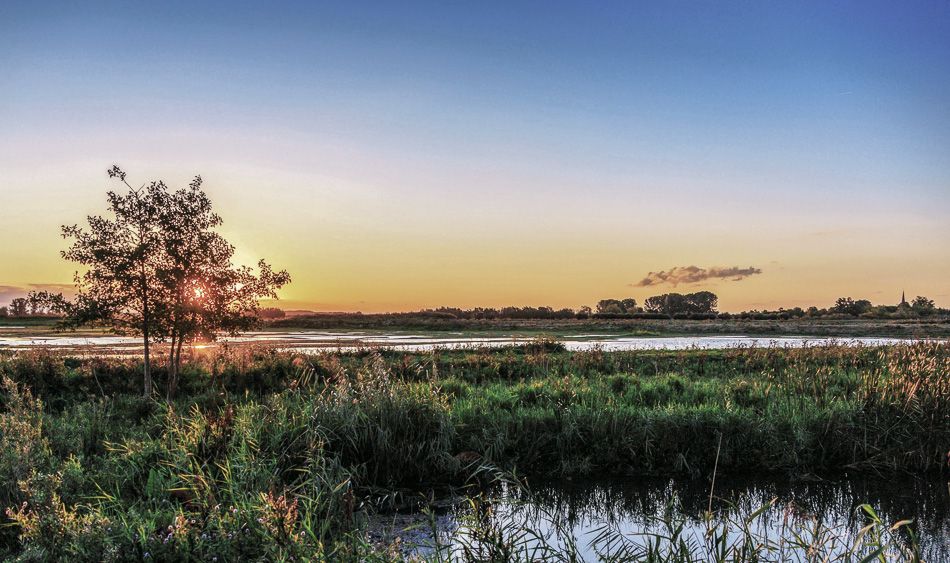 Nationaal Park Hoge Veluwe
