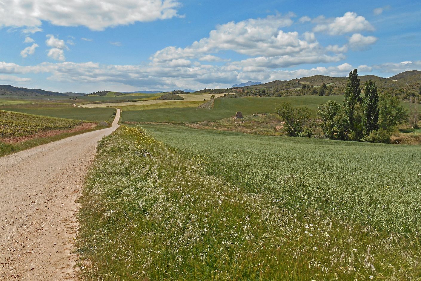 Fietsen via de pelgrimsroute naar Santiago de Compostella