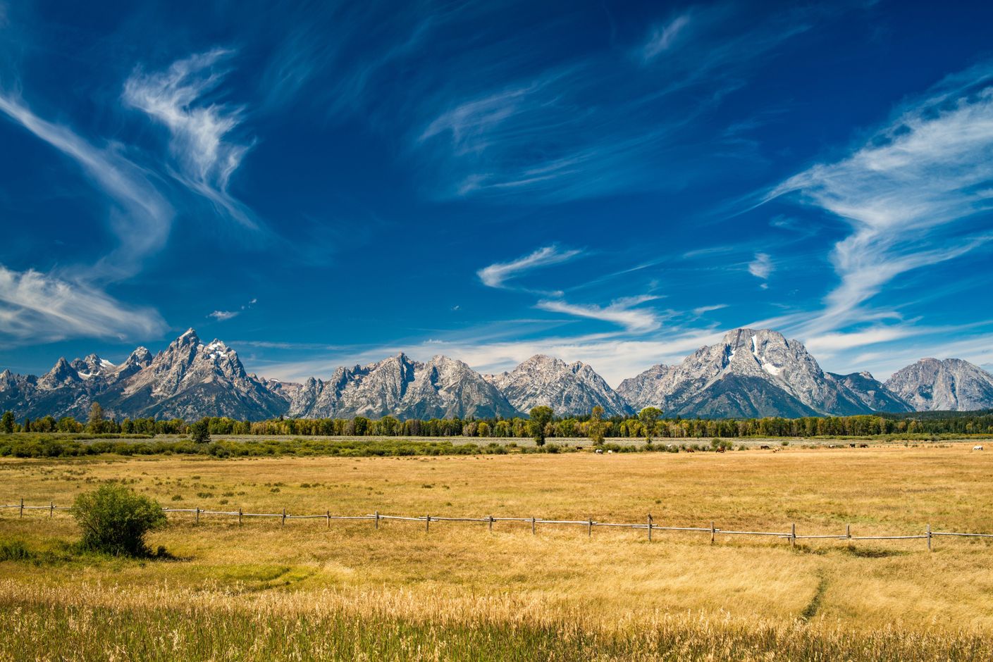 Rondreis Yellowstone National Park, Rocky Mountains, USA